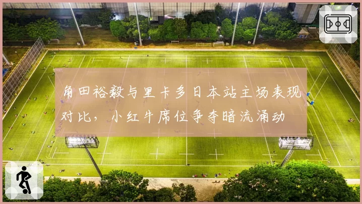 角田裕毅与里卡多日本站主场表现对比，小红牛席位争夺暗流涌动
