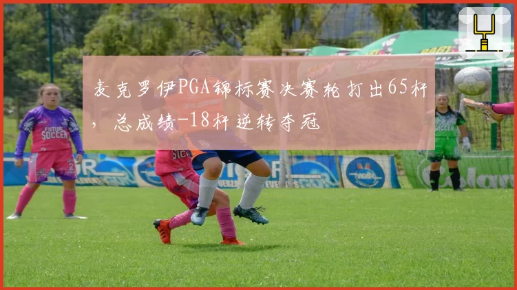 麦克罗伊PGA锦标赛决赛轮打出65杆，总成绩-18杆逆转夺冠