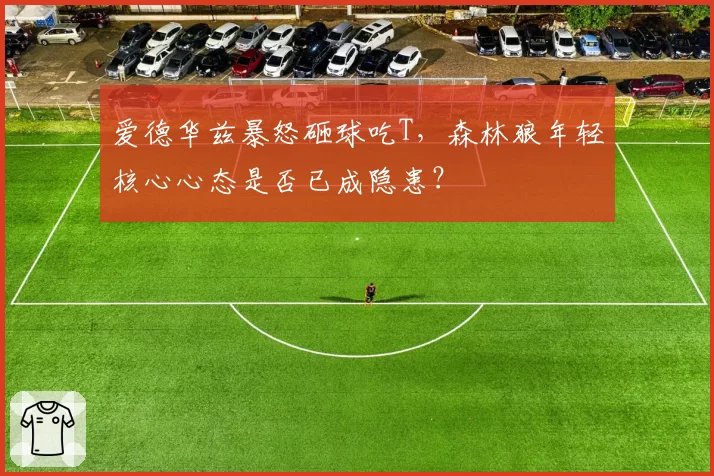爱德华兹暴怒砸球吃T，森林狼年轻核心心态是否已成隐患？