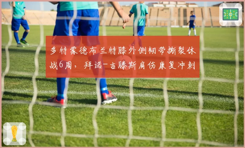多特蒙德布兰特膝外侧韧带撕裂休战6周，拜诺-吉滕斯肩伤康复冲刺欧冠复出