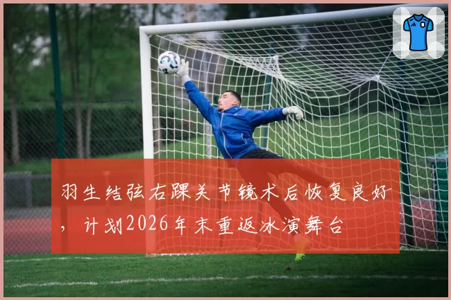 羽生结弦右踝关节镜术后恢复良好，计划2026年末重返冰演舞台