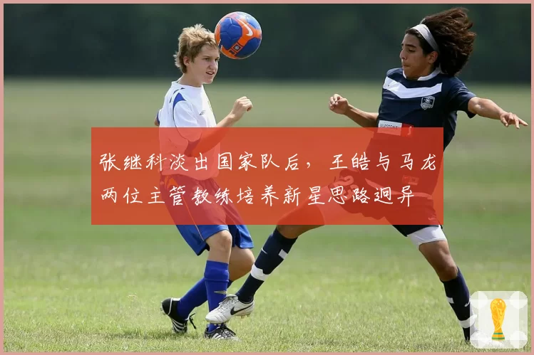 张继科淡出国家队后，王皓与马龙两位主管教练培养新星思路迥异